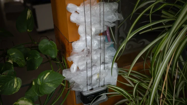 Bundled plastic bags wrapped around a wooden post between green plants in an outdoor space.