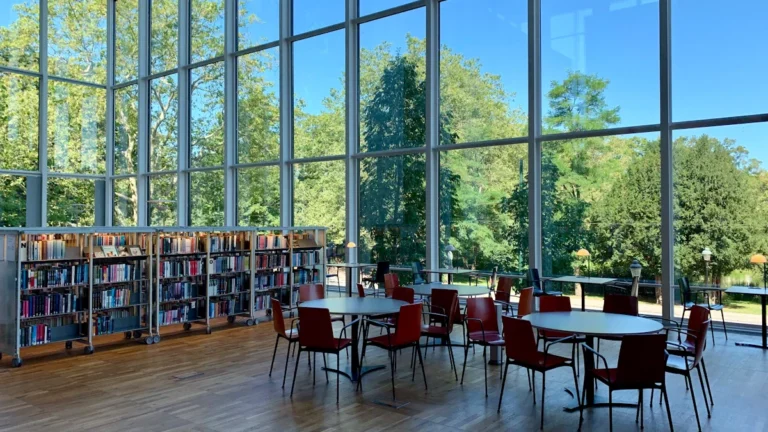 A bright, modern library hall with large windows and tables for community workshops.