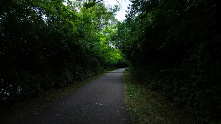 A smooth paved pathway leading through a lush corridor of green trees and bushes.