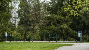 A wide-angle view of a professional outdoor gym facility installed in a leafy public park, featuring various strength and cardio stations.