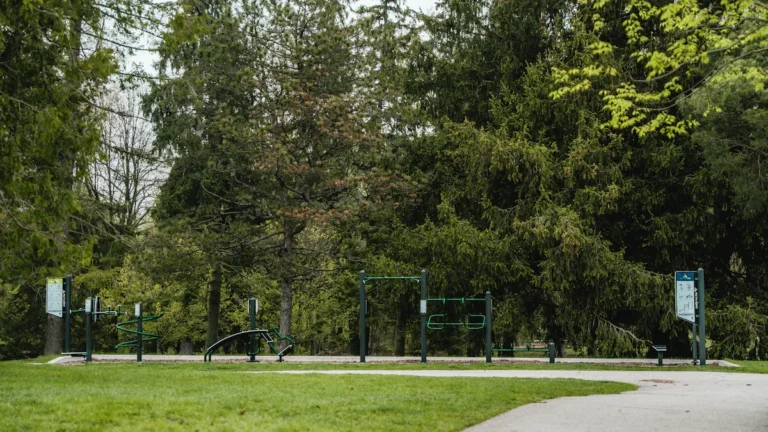 A wide-angle view of a professional outdoor gym facility installed in a leafy public park, featuring various strength and cardio stations.