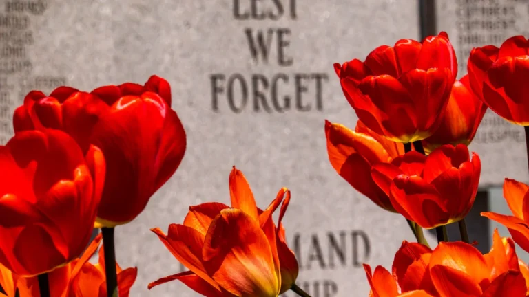 A close-up of vibrant red tulips in front of a stone memorial wall engraved with the words 'LEST WE FORGET'.