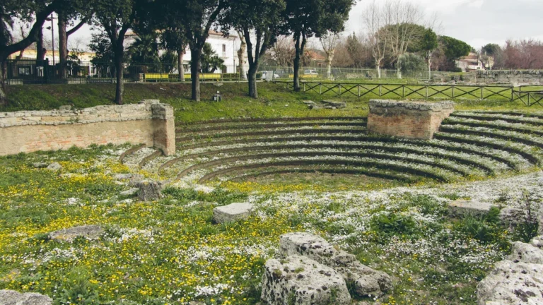 A wide view of a stone amphitheater in a public park, overgrown with yellow and white wildflowers under a cloudy sky.