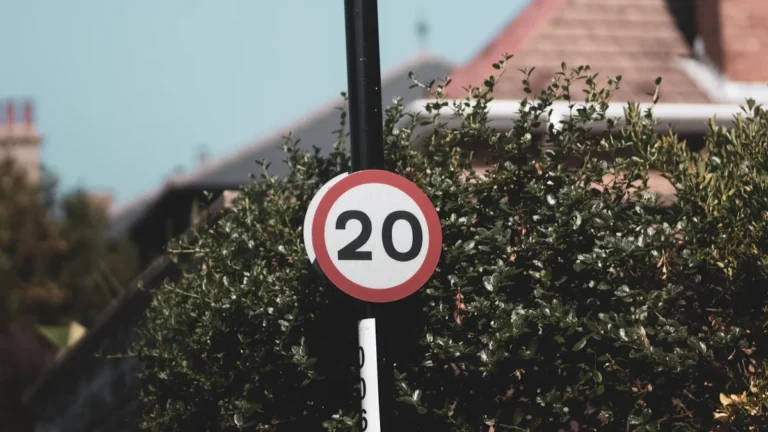 A standard UK circular 20mph speed limit sign with a red border positioned on a residential street.