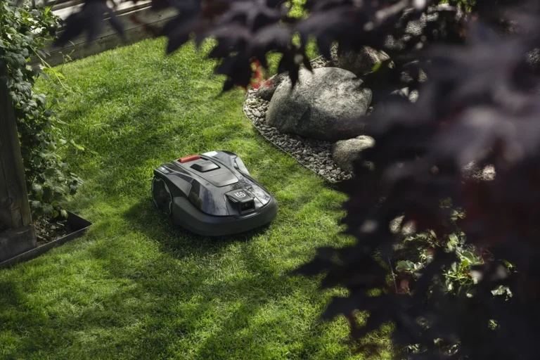 A sleek black robotic lawn mower navigating a vibrant green backyard lawn on a sunny day.