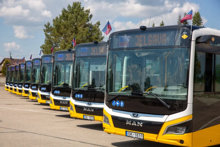 A row of yellow and black MAN buses displaying Jelgava parked in a paved lot.