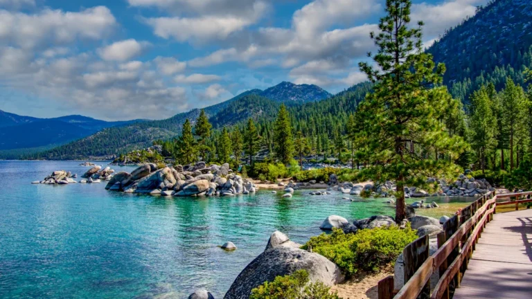 A modern wooden boardwalk winding along a clear blue lake shore under a bright summer sky.