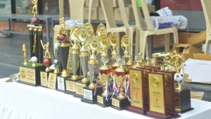 A collection of gold and silver sports trophies and plaques displayed on a white table.