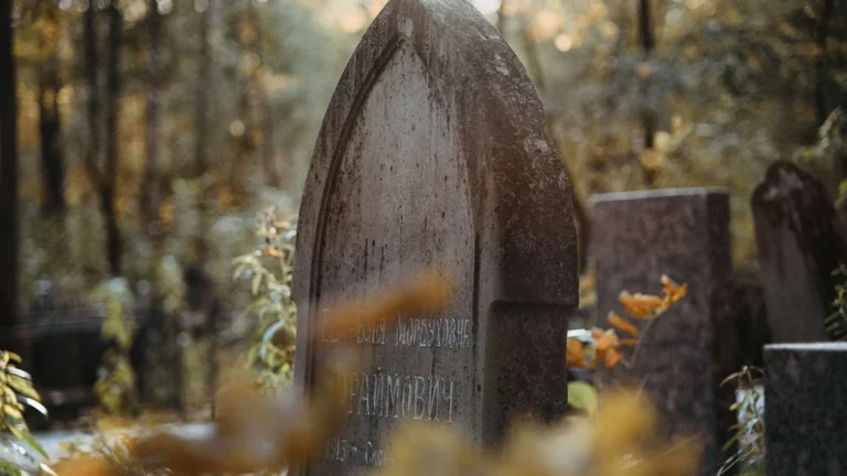A weathered, pointed stone headstone with fading inscriptions stands among autumn leaves in a quiet forest.
