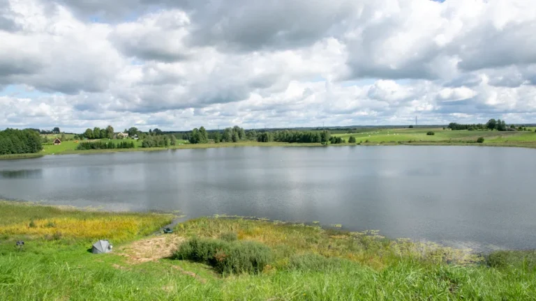 A wide view of a large Lithuanian lake under a dramatic cloudy sky with green fields.