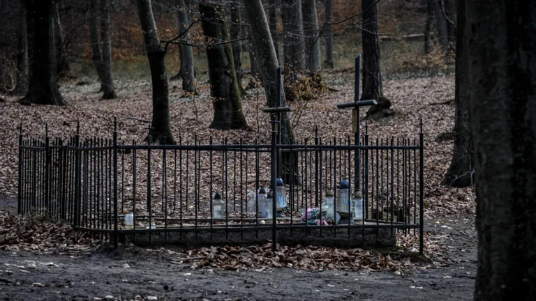 A somber forest grave enclosed by a black metal fence with crosses among autumn leaves.