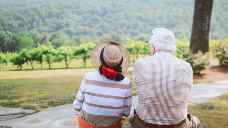 Rear view of an elderly couple sitting together, looking out over a sunlit, green rolling landscape.