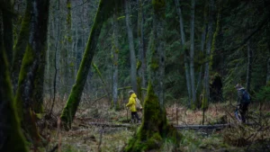 Lithuanian Partisan Remembrance Hikes Go Global This May