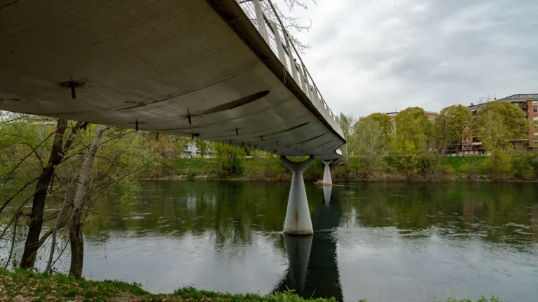 A modern concrete bridge crossing a calm river with trees and buildings reflecting in the water.