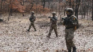 Three soldiers in tactical camouflage gear patrol through a wooded area during a NATO military exercise.