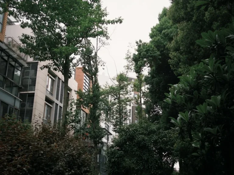 New homes and greener streets: How Nottingham plans to transform