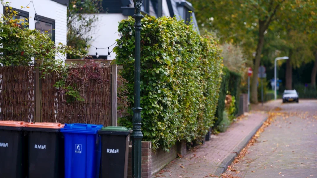 A row of colorful wheelie bins for waste and recycling collection on a residential street.