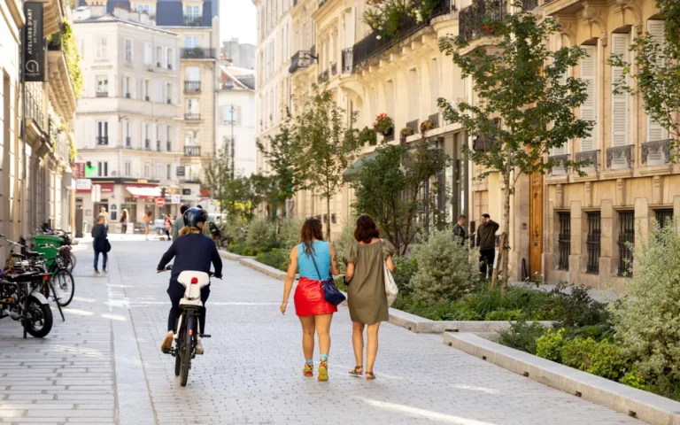 Pedestrians and a cyclist travel down a tree-lined European street framed by tall classical buildings.