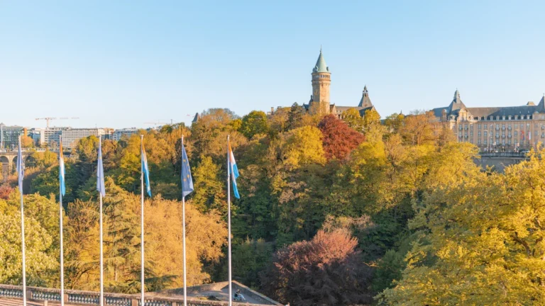 European Union flags waving in a sunlit park with historic architecture in the background.