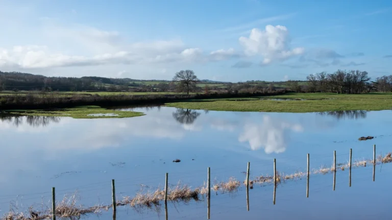 Flooded agricultural field in the English countryside under a bright blue sky.