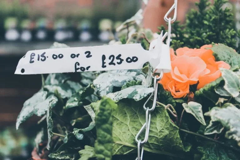 UK-Australia Trade Deal: What June 2026 Means for Food Prices