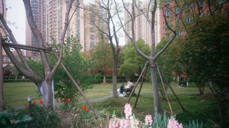 Modern apartment buildings overlook a manicured city park with blooming flowers and young supported trees.