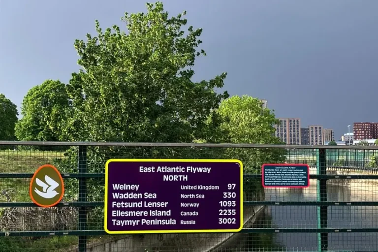 Walthamstow Wetlands walk gets playful bird signs