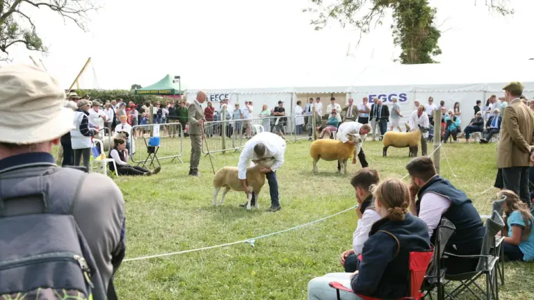 Cereals 2026 Moves Into Wider Public View