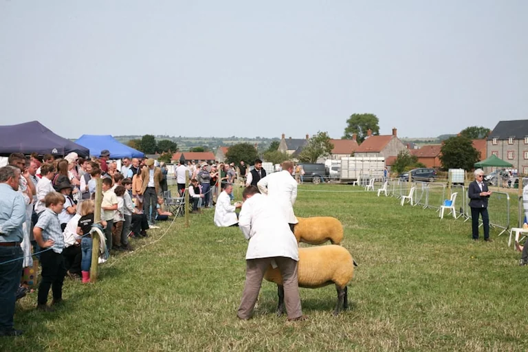 Cereals 2026 Moves Into Wider Public View
