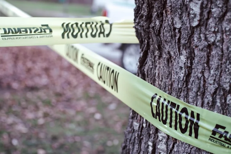 Molly Mae Trend Splits Across Crime and Entertainment Stories