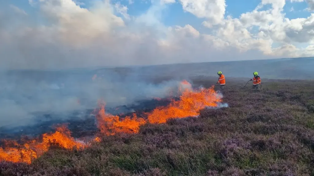 Two firefighters in protective gear extinguishing a controlled brush fire on a moorland hillside.